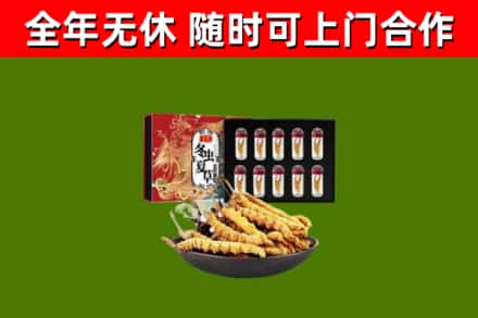 淮安市回收冬虫夏草价格